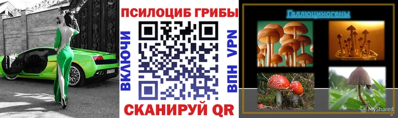 hydra ТОР  хочу наркоту  Энем  Псилоцибиновые грибы ЛСД 